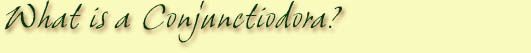 conjunctio spiritual alchemy