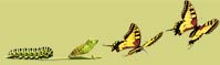 personal development workshops for transformation