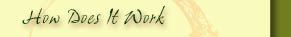 career development life coaching
